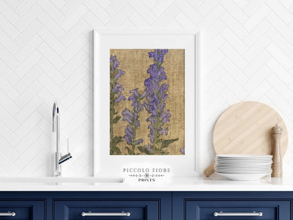 Delphinium | P276 - Single Art Prints - Piccolo Fiore Prints