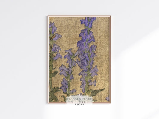 Delphinium | P276 - Single Art Prints - Piccolo Fiore Prints