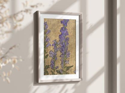 Delphinium | P276 - Single Art Prints - Piccolo Fiore Prints