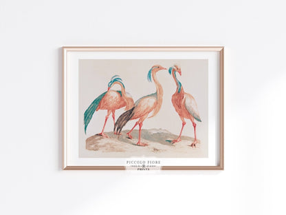 Eclectic Pastel Pink | Gallery Wall Set | 10 Prints | M10 - 1 - Gallery Wall Set - Piccolo Fiore Prints