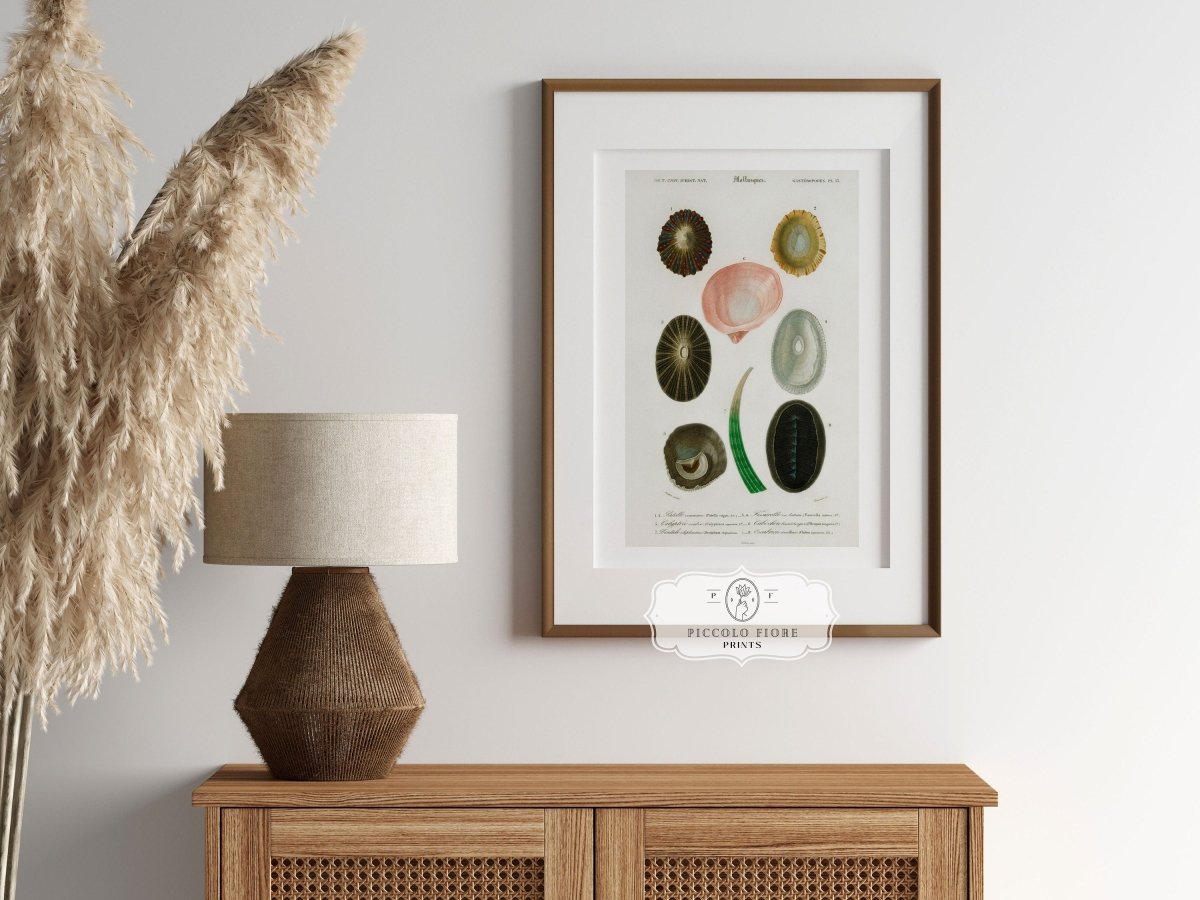 Eclectic Pastel Pink | Gallery Wall Set | 10 Prints | M10 - 1 - Gallery Wall Set - Piccolo Fiore Prints