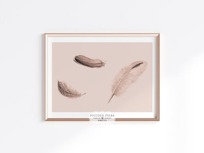 Feather Study | P389 - Single Art Prints - Piccolo Fiore Prints