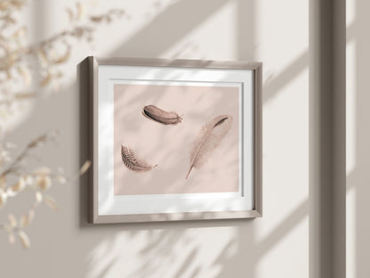 Feather Study | P389 - Single Art Prints - Piccolo Fiore Prints