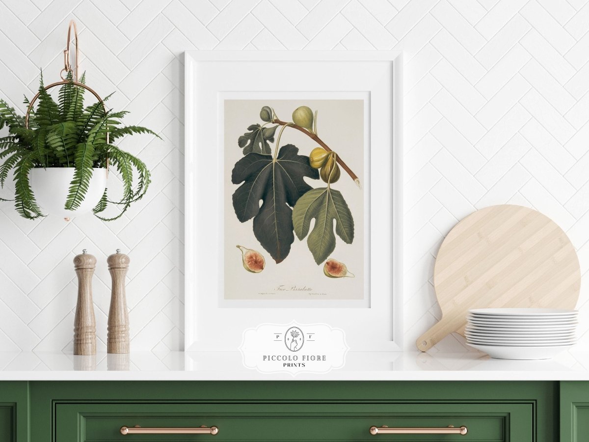 Fig Illustration | P403 - Single Art Prints - Piccolo Fiore Prints