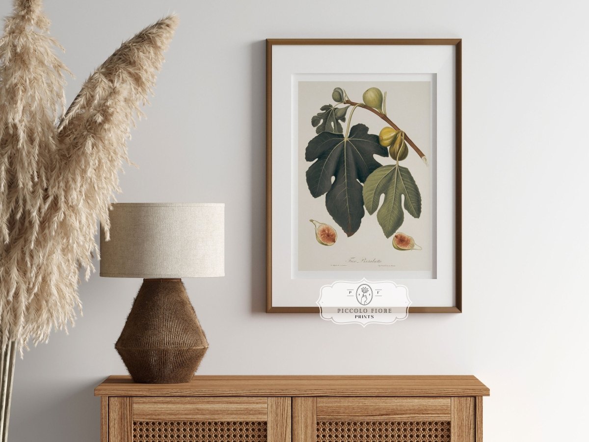 Fig Illustration | P403 - Single Art Prints - Piccolo Fiore Prints