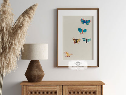 Five Butterflies | P33 - Single Art Prints - Piccolo Fiore Prints