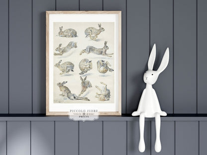 Fox, Hare & Horse | Gallery Wall Set | 5 Prints | M5 - 2 - Gallery Wall Set - Piccolo Fiore Prints