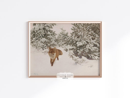 Fox in the Snow | P412 - Single Art Prints - Piccolo Fiore Prints