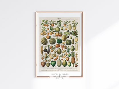 Fruits and Vegetables Chart | P396 - Single Art Prints - Piccolo Fiore Prints