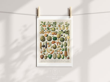 Fruits and Vegetables Chart | P396 - Single Art Prints - Piccolo Fiore Prints