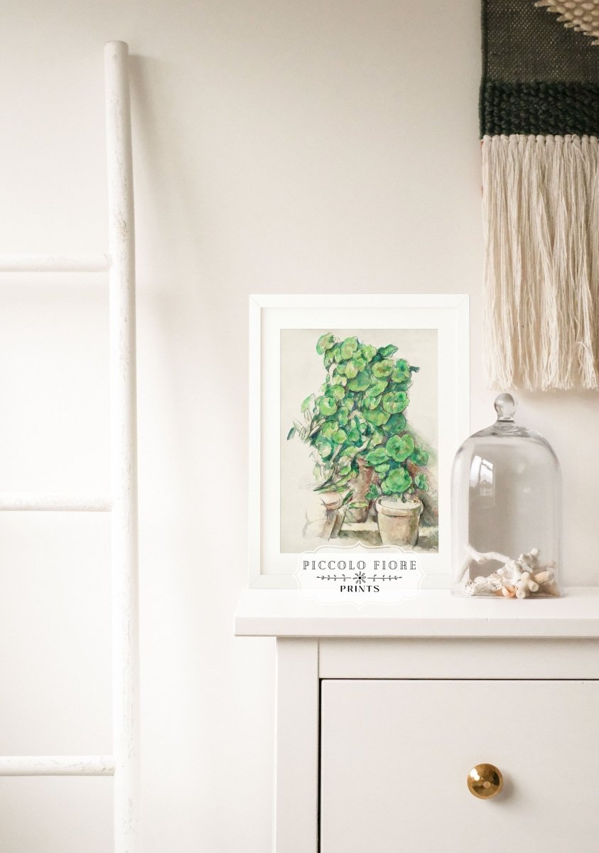 Geraniums | P176 - Single Art Prints - Piccolo Fiore Prints