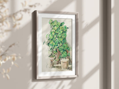 Geraniums | P176 - Single Art Prints - Piccolo Fiore Prints