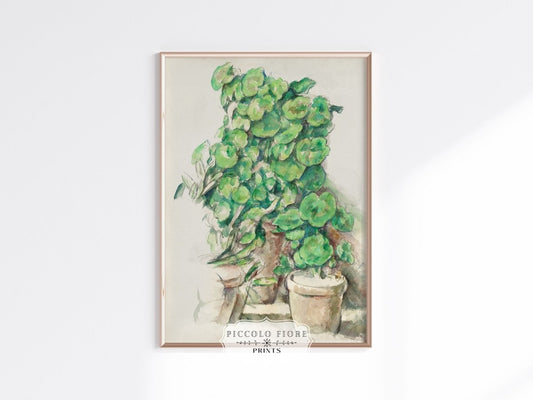 Geraniums | P176 - Single Art Prints - Piccolo Fiore Prints