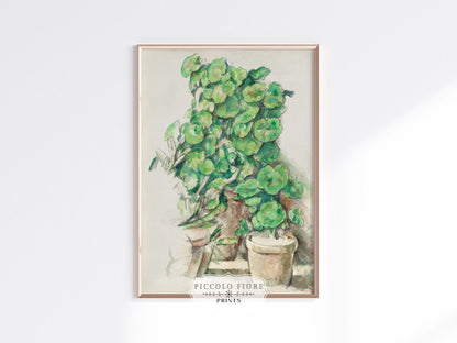 Geraniums | P176 - Single Art Prints - Piccolo Fiore Prints