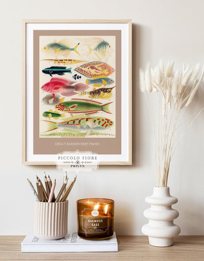 Great Barrier Reef Fish | P553 - Single Art Prints - Piccolo Fiore Prints