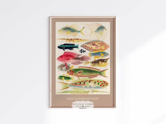 Great Barrier Reef Fish | P553 - Single Art Prints - Piccolo Fiore Prints