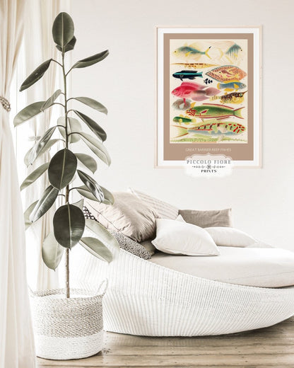 Great Barrier Reef Fish | P553 - Single Art Prints - Piccolo Fiore Prints