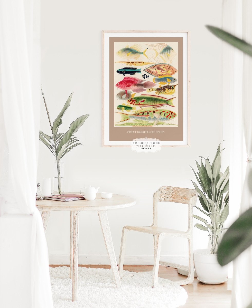 Great Barrier Reef Fish | P553 - Single Art Prints - Piccolo Fiore Prints