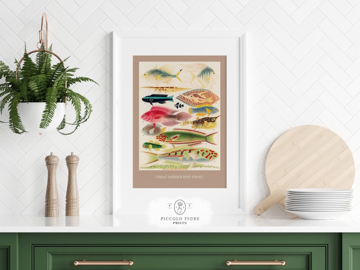 Great Barrier Reef Fish | P553 - Single Art Prints - Piccolo Fiore Prints
