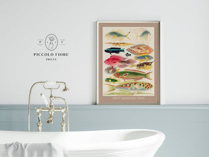 Great Barrier Reef Fish | P553 - Single Art Prints - Piccolo Fiore Prints