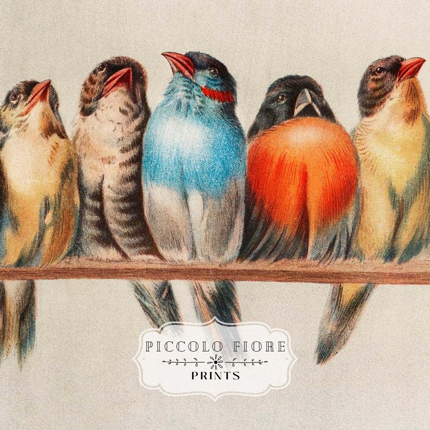 Birds and Countryside | Gallery Wall Set | 4 Prints | S11-1.7
