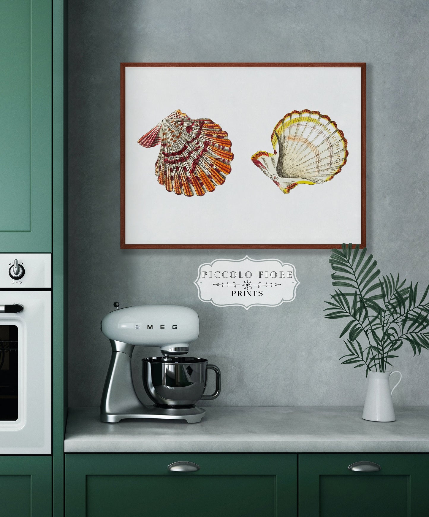 Mantle Scallop Shell Illustration | P76