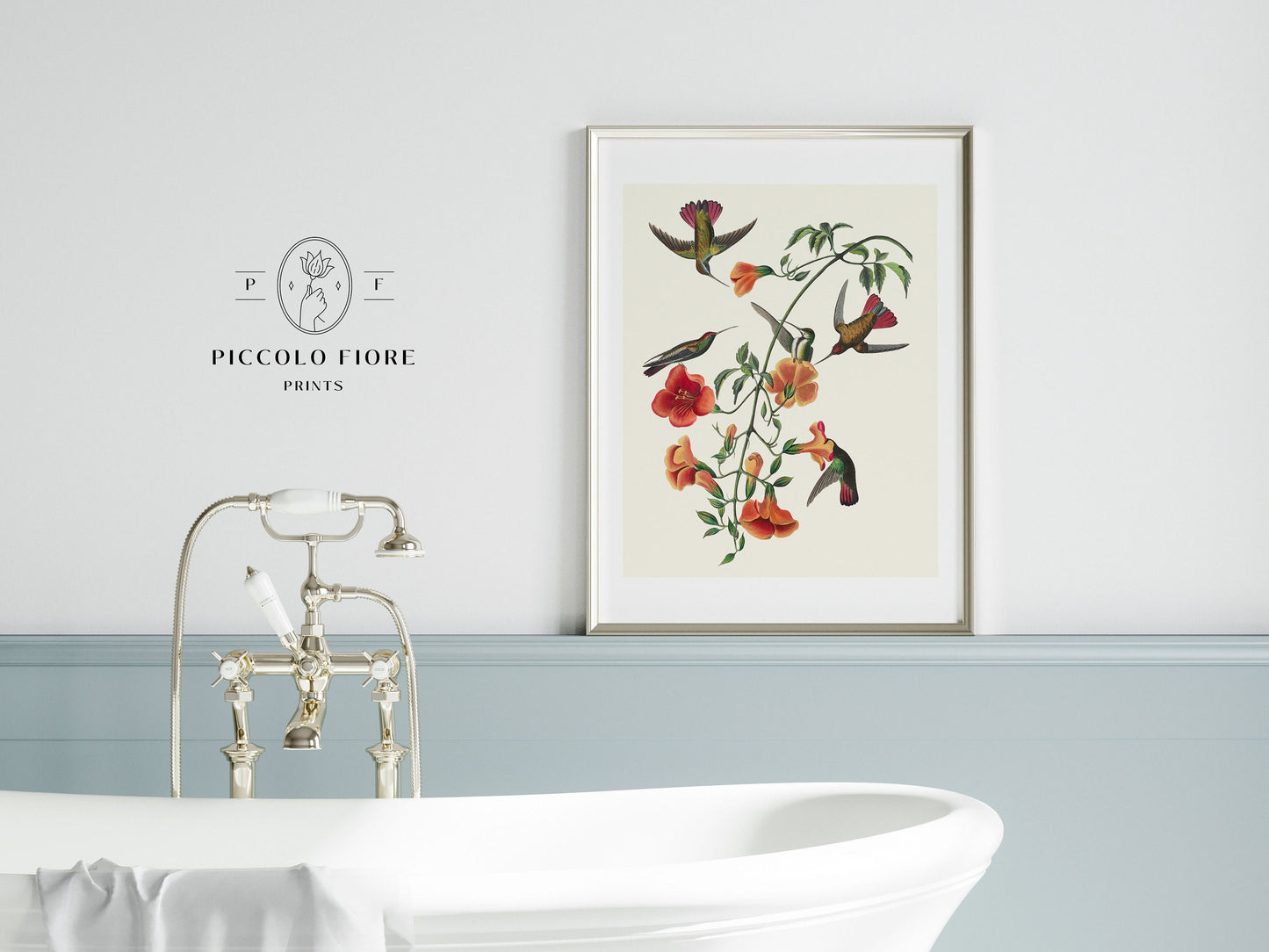 Mango Hummingbird Illustration | P258