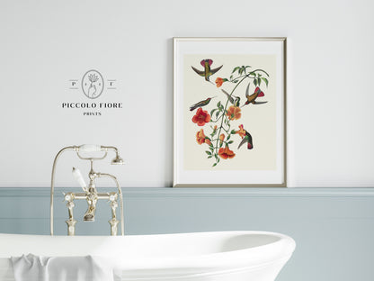 Mango Hummingbird Illustration | P258