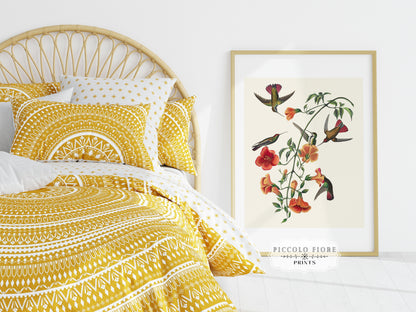 Mango Hummingbird Illustration | P258