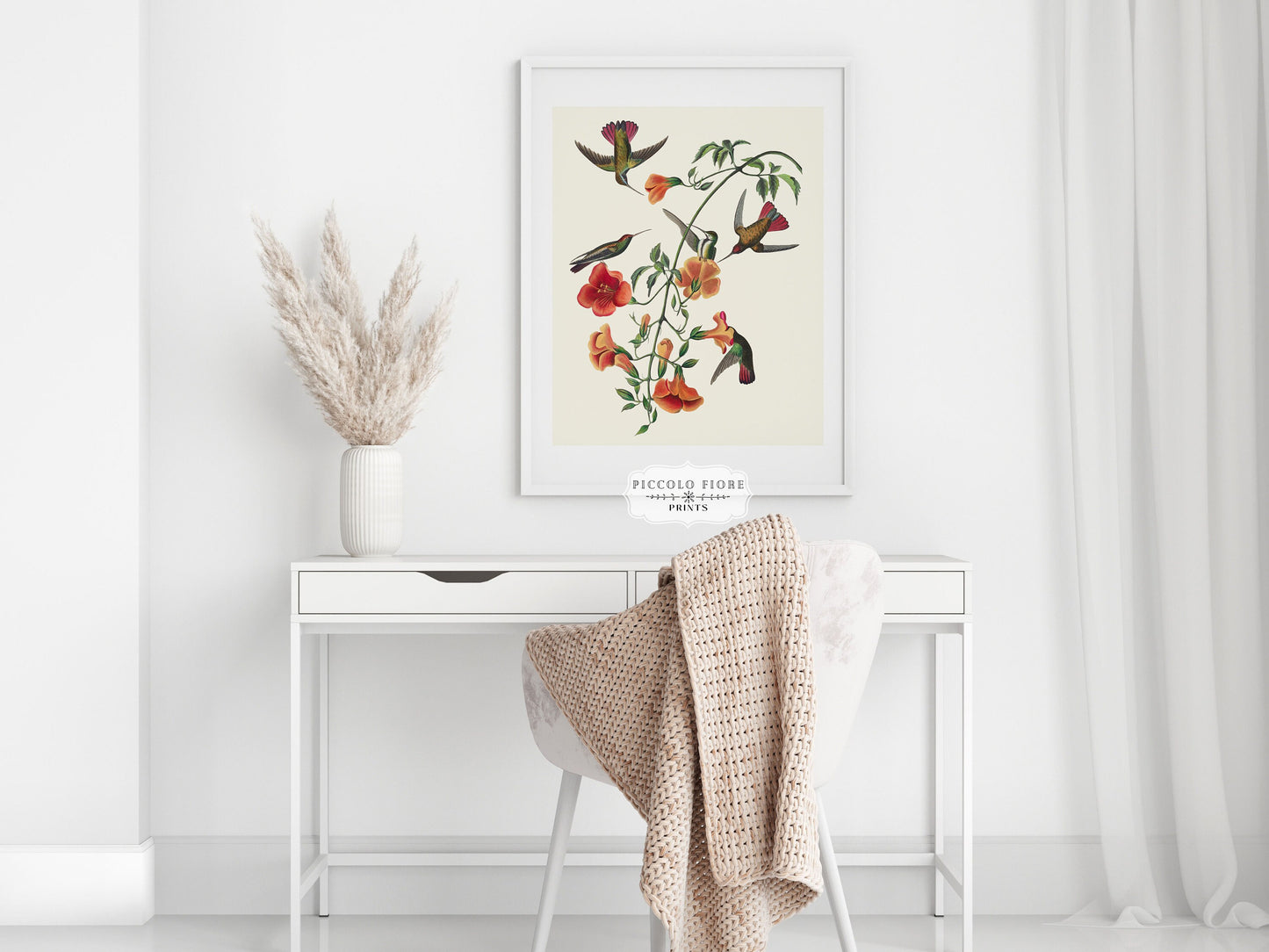 Mango Hummingbird Illustration | P258