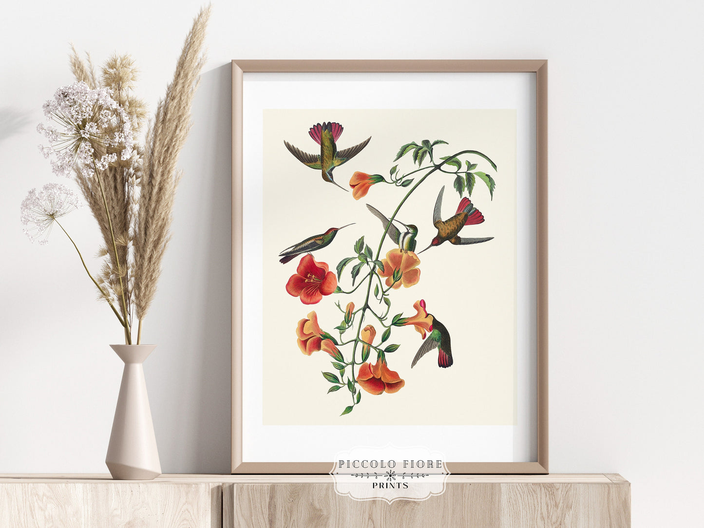 Mango Hummingbird Illustration | P258