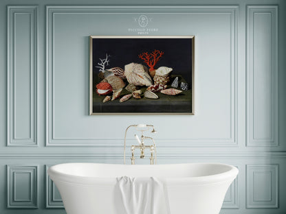 Still Life with Shells and Coral | P429