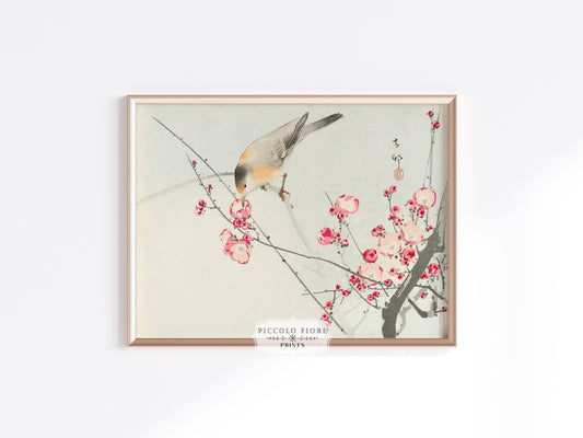 Songbird on Blossom Branch | P147