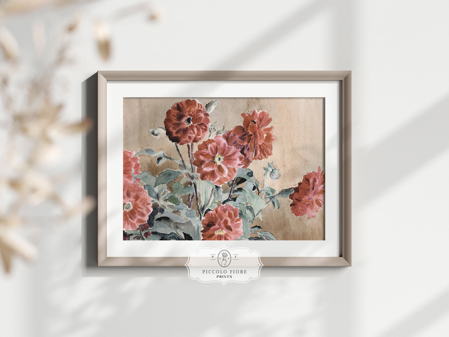 Dahlias | P390