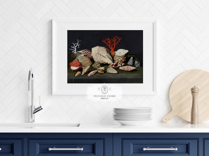 Still Life with Shells and Coral | P429