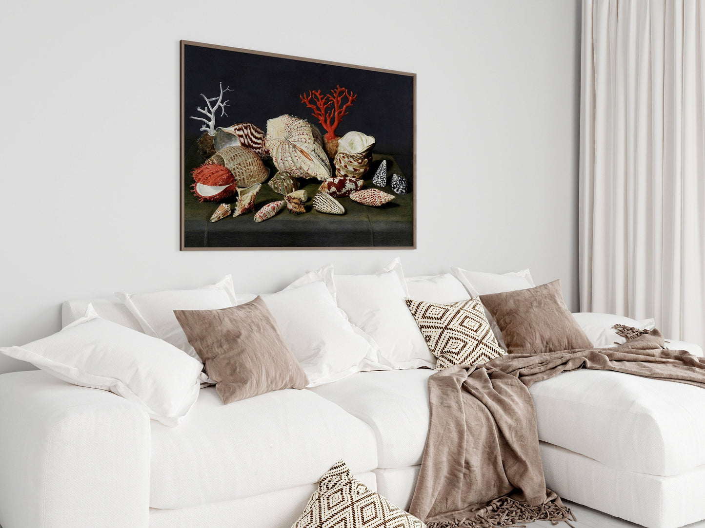 Still Life with Shells and Coral | P429