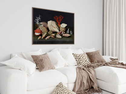 Still Life with Shells and Coral | P429