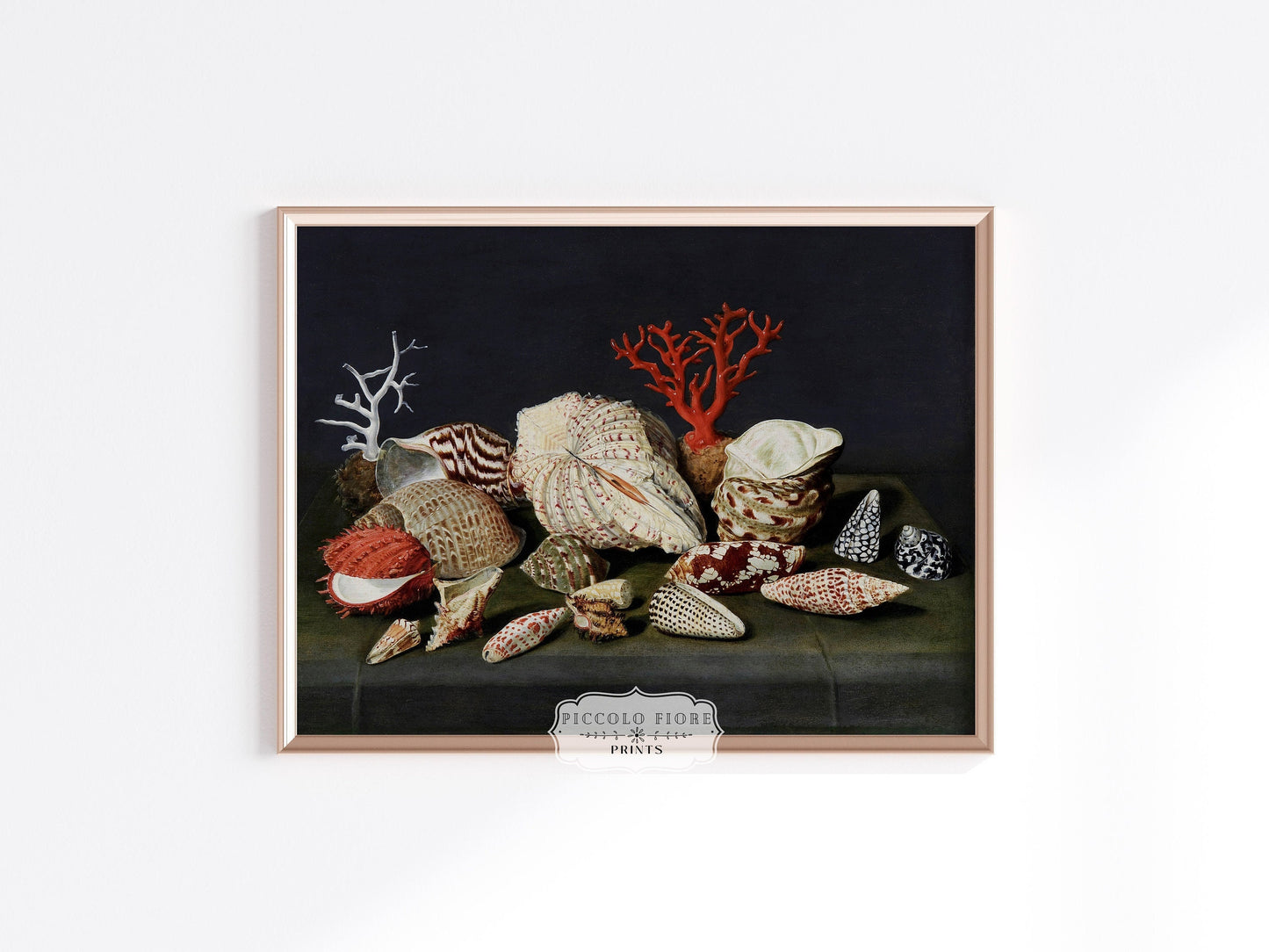 Still Life with Shells and Coral | P429
