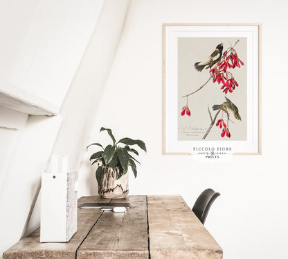 Pink and Crimson | Gallery Wall Set | M10-5