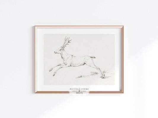 Jumping Deer Sketch | P126 - Single Art Prints - Piccolo Fiore Prints
