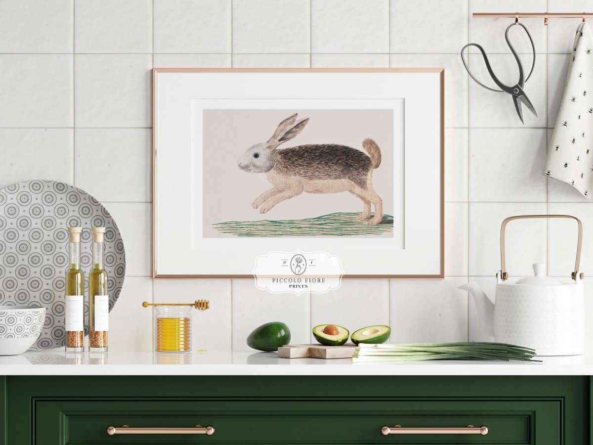 Jumping Hare | P789 - Single Art Prints - Piccolo Fiore Prints
