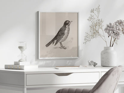 Little Robin | P387 - Single Square Art Prints - Piccolo Fiore Prints