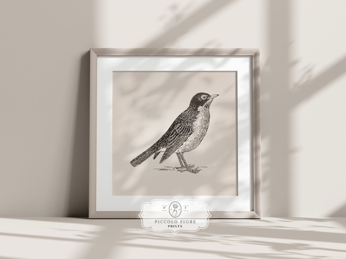 Little Robin | P387 - Single Square Art Prints - Piccolo Fiore Prints