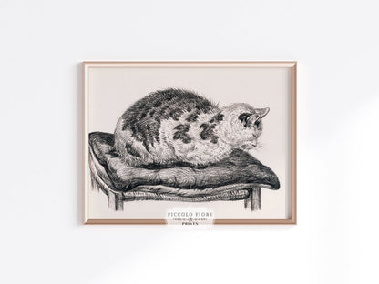 Lying Cat on a Pillow | P216 - Single Art Prints - Piccolo Fiore Prints