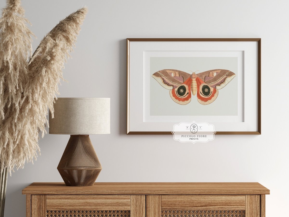 Moth Illustration | P80 - Single Art Prints - Piccolo Fiore Prints