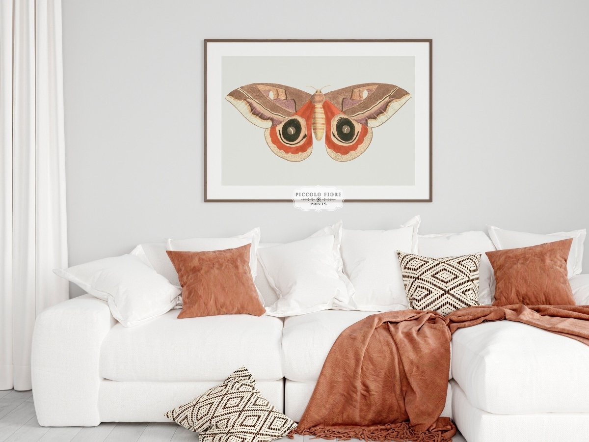Moth Illustration | P80 - Single Art Prints - Piccolo Fiore Prints