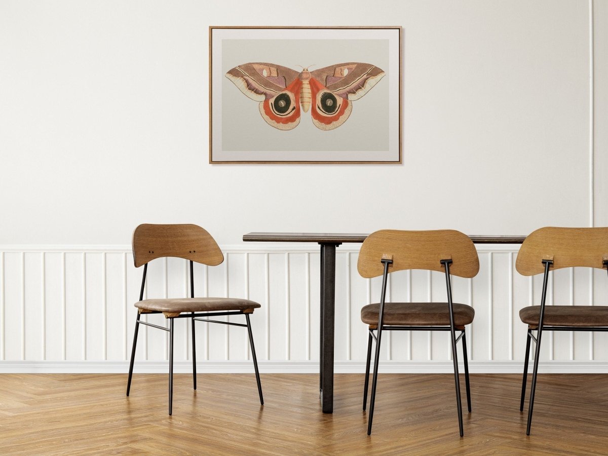 Moth Illustration | P80 - Single Art Prints - Piccolo Fiore Prints