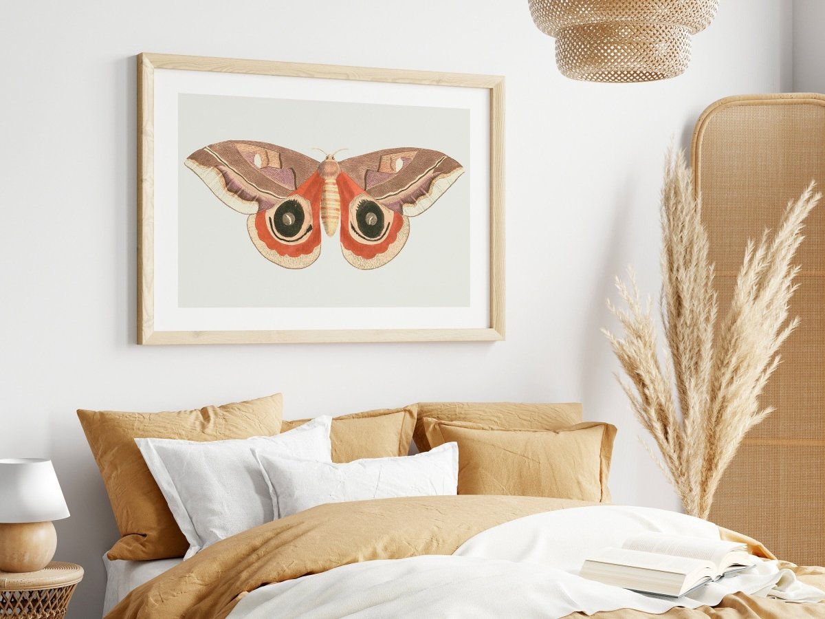 Moth Illustration | P80 - Single Art Prints - Piccolo Fiore Prints