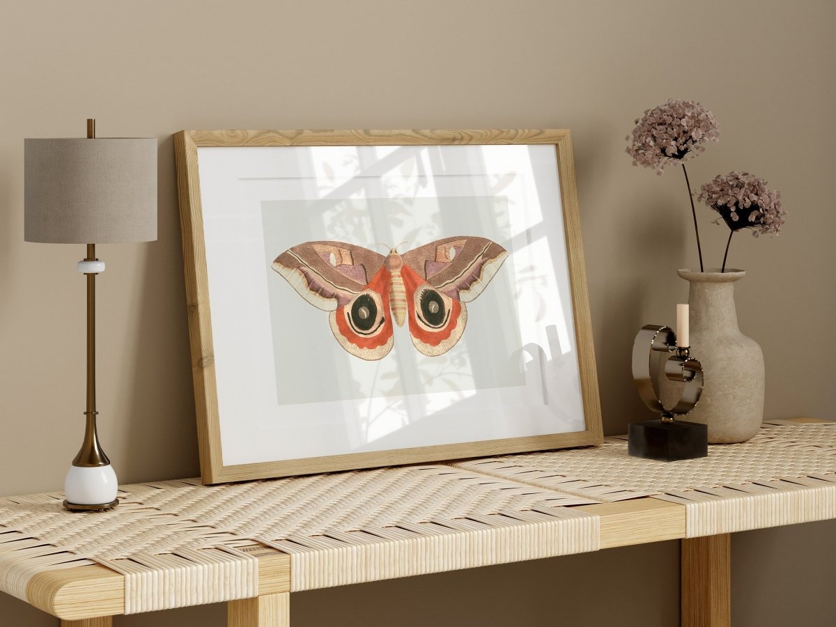 Moth Illustration | P80 - Single Art Prints - Piccolo Fiore Prints