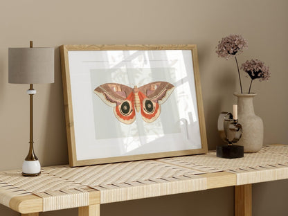 Moth Illustration | P80 - Single Art Prints - Piccolo Fiore Prints